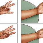 Четыре положения пальцев по отношению к большому