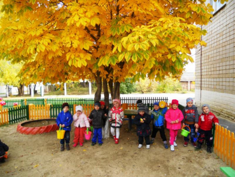 Дети с ведёрками стоят под деревом с жёлтой листвой