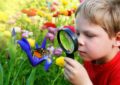 Экологическое воспитание в детском саду