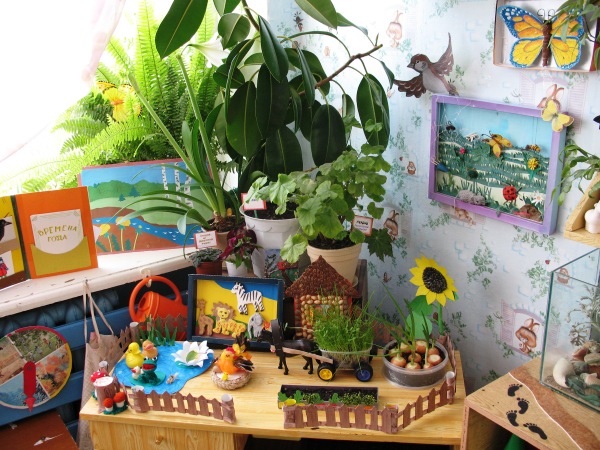 Как организовать уголок природы в детском саду?