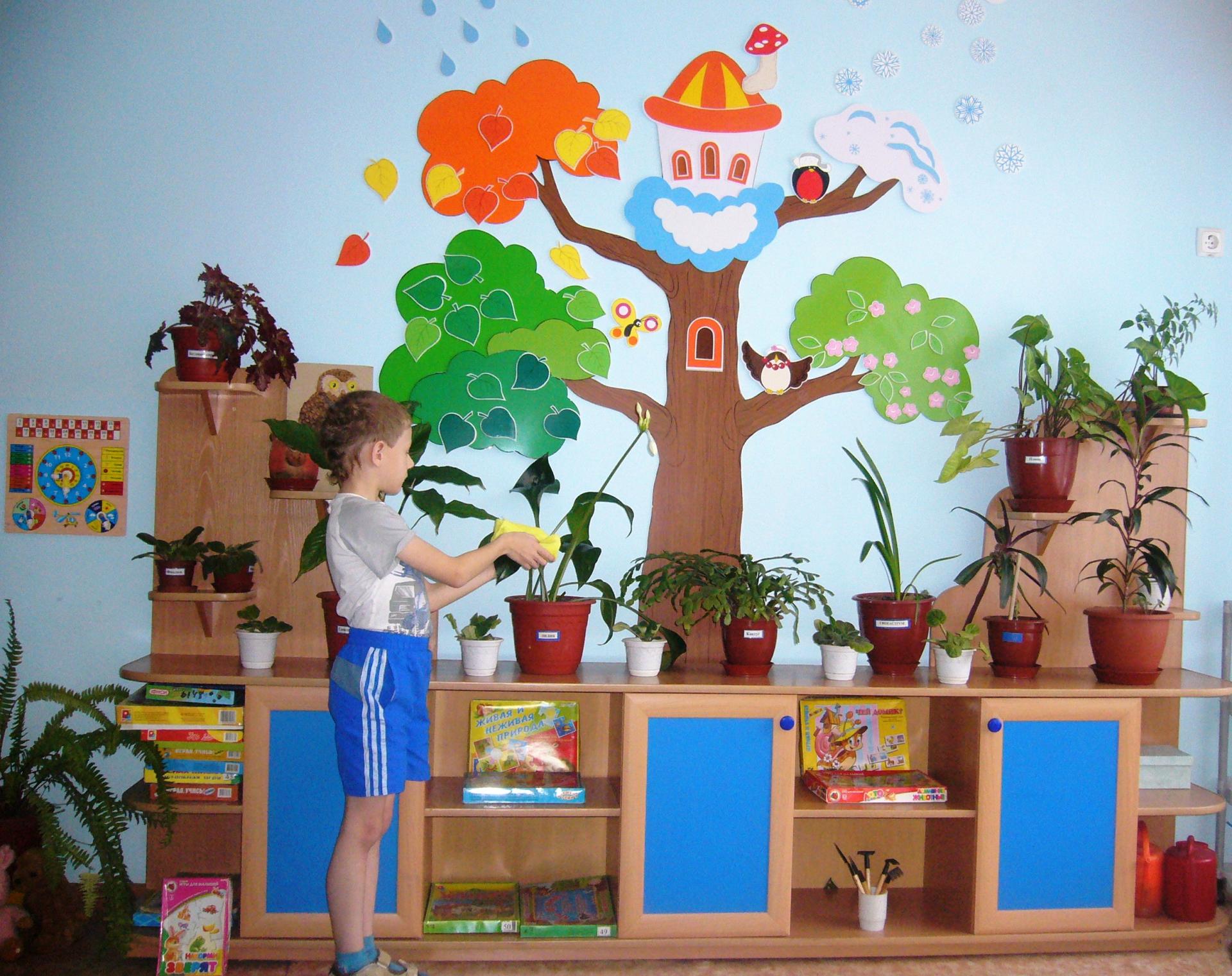 Организация уголка природы в детских садах по ФГОС
