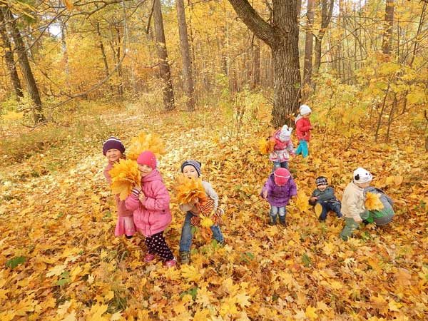Дети собирают листья в осеннем лесу