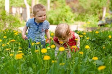 Дети рассматривают цветы
