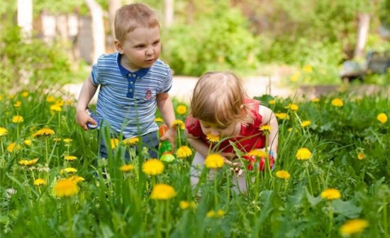 Дети рассматривают цветы