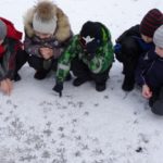 Дети рассматривают следы птиц на снегу