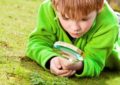 Мальчик рассматривает растения через лупу