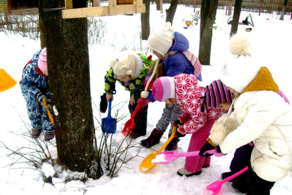 Дети лопатками копают снег вокруг дерева