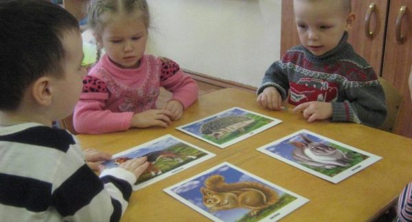 Дети сидят за столом, перед ними картинки с изображениями животных