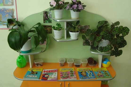 Экологический уголок в детском саду