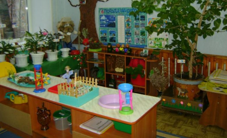 Эколуголк на столах, расположенных буквой Г, и примыкающий к стене, слева дерево в горшке, стоящем в ящике