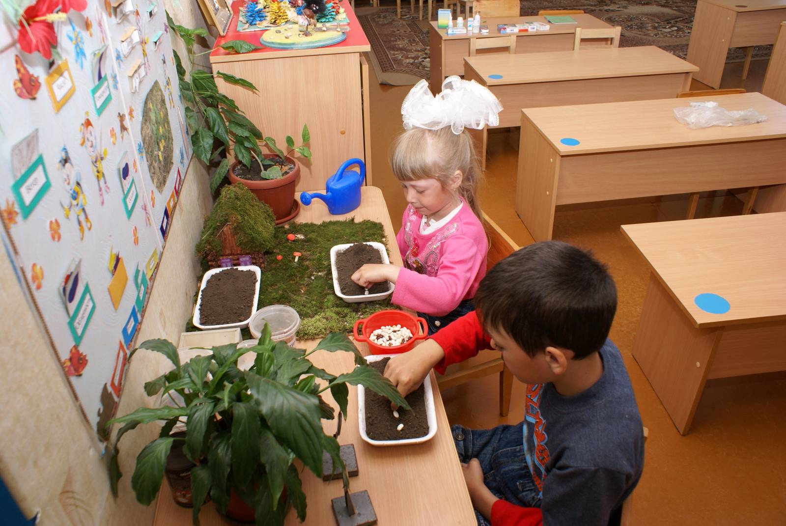 Занятие по экологии в доу. Дети подготовительной группы. Занятие по экологии. Экология в детском саду. Старшая группа детского сада.