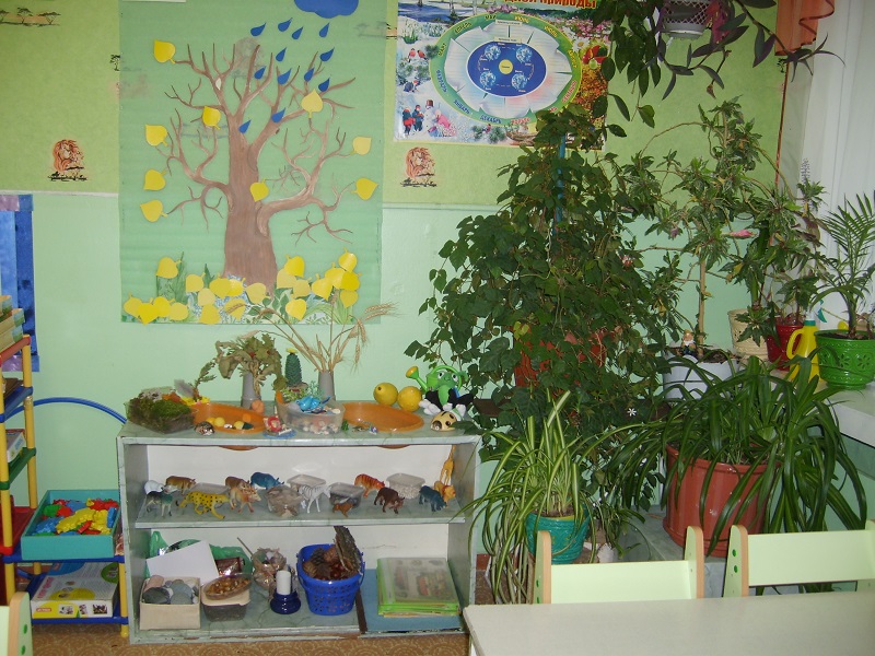 Природный уголок в детском саду руками. Оформление уголка природы в старшей группе детского сада