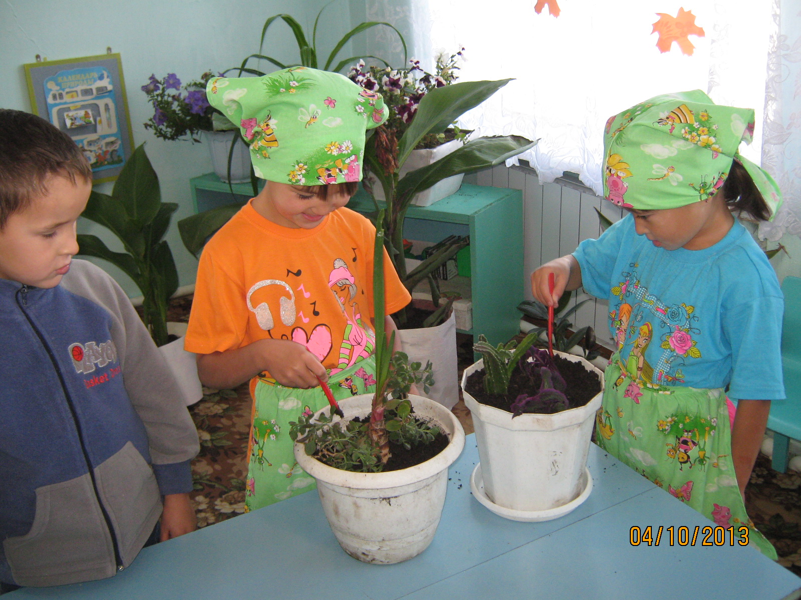Уголок труда средняя группа. Ухаживание за растениями в детском саду. Комнатные цветы в ДОУ. Комнатные цветы старшая группа. Комнатные растения для детей в ДОУ.