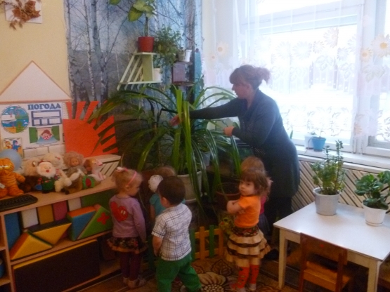 Воспитательница показывает детям листья стоящего в углу цветка д