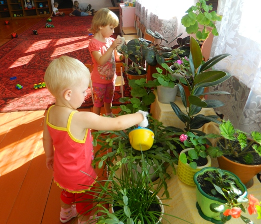 Дети поливают цветы в уголке природы
