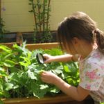 Девочка через лупу рассматривает растения