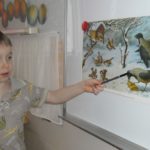 Мальчик показывает каранадашом на птицу, изображённую на картине