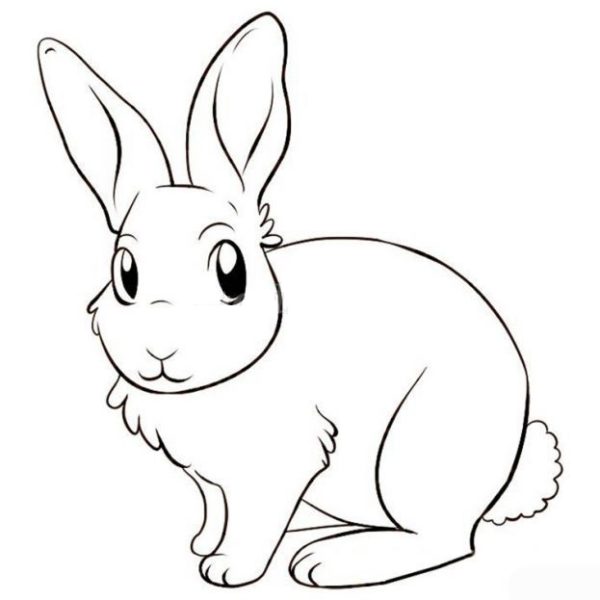 Силуэт кролика