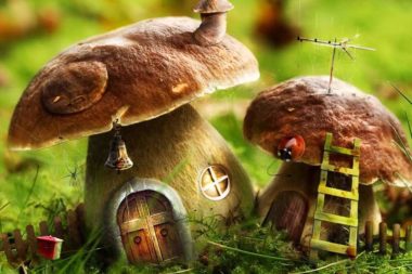 Изучение темы «Грибы» закрепляет знания детей о многообразном мире грибов и развивает художественные способности