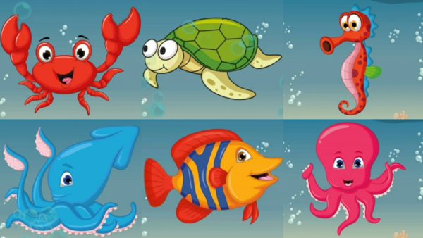 Анимационные краб, черепаха, морской конёк и др