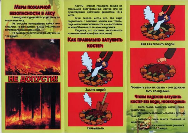 Информация по теме «Пожарная безопасность в лесу»