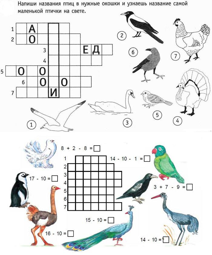 Лэпбук Домашние животные и птицы для дошкольников: как сделать своими руками с помощью шаблонов
